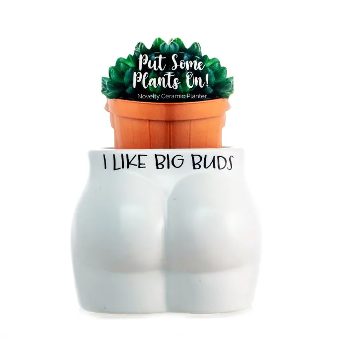 Ceramic Planter - I Like Big Buds - Image 4