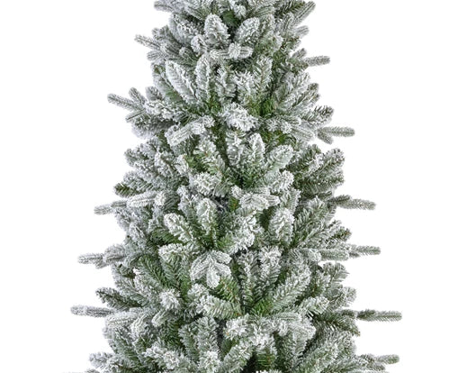 Christmas Tree Killington Fir Frosted - Image 2