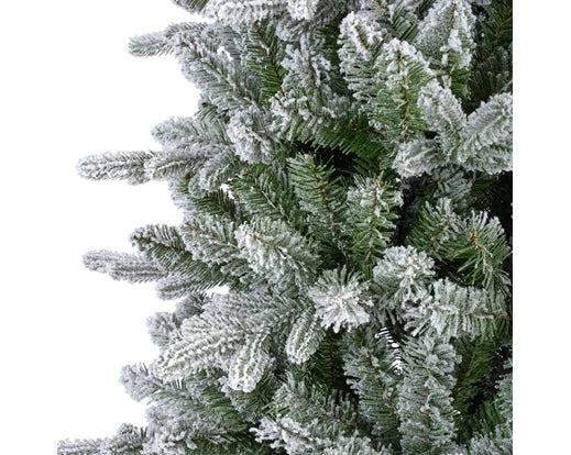 Christmas Tree Killington Fir Frosted - Image 5