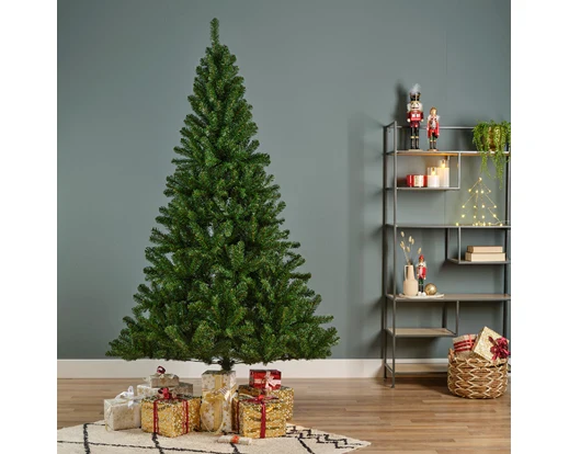 Christmas Tree Monarch Pine 6FT - Image 5