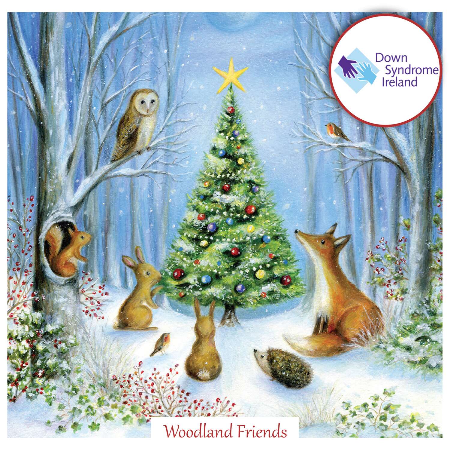 Woodland Friends Christmas Cards Box - Gift Cards for Christmas