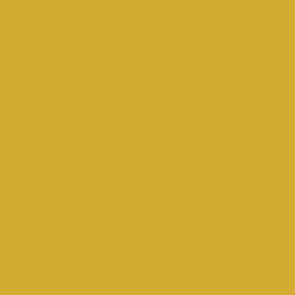 Graham & Brown Lioness Paint