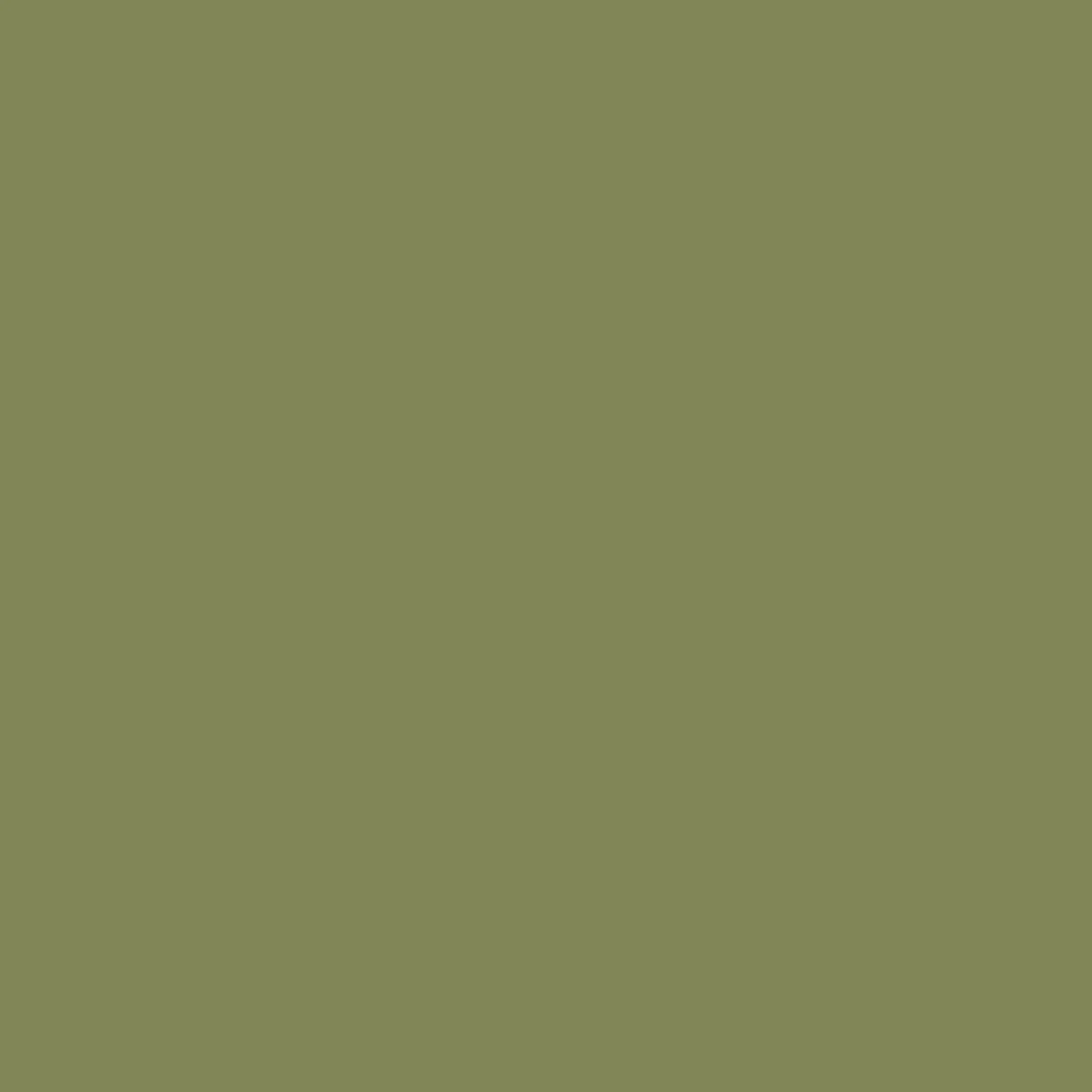 Graham & Brown Palm House Paint