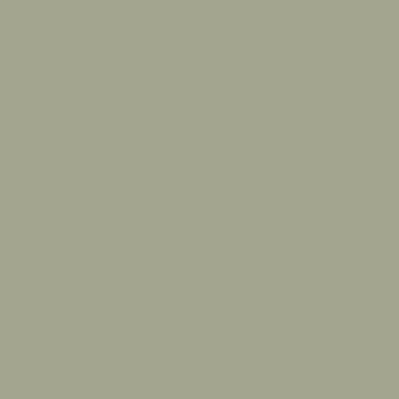 Graham & Brown Sage Paint