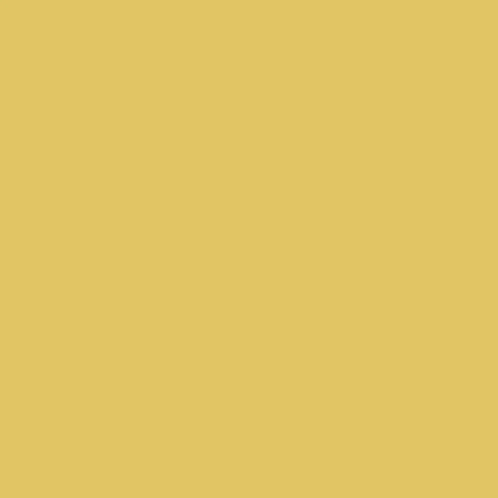 Graham & Brown Sunflower Paint