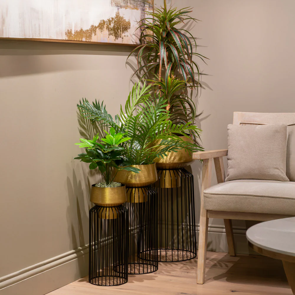 Lia Small Planter With Stand – Brass/Black Pot for Home Décor - Image 3