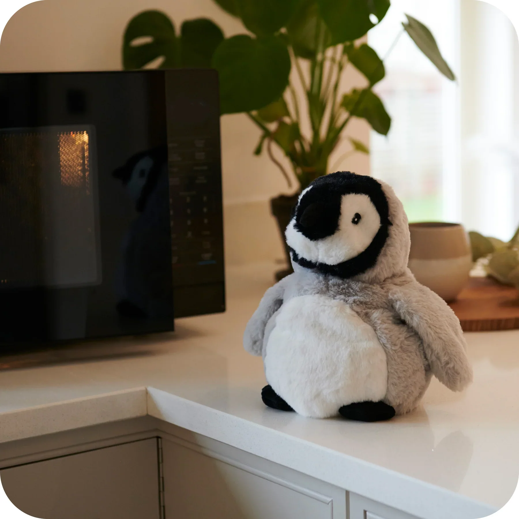 Warmies Baby Penguin - Image 5