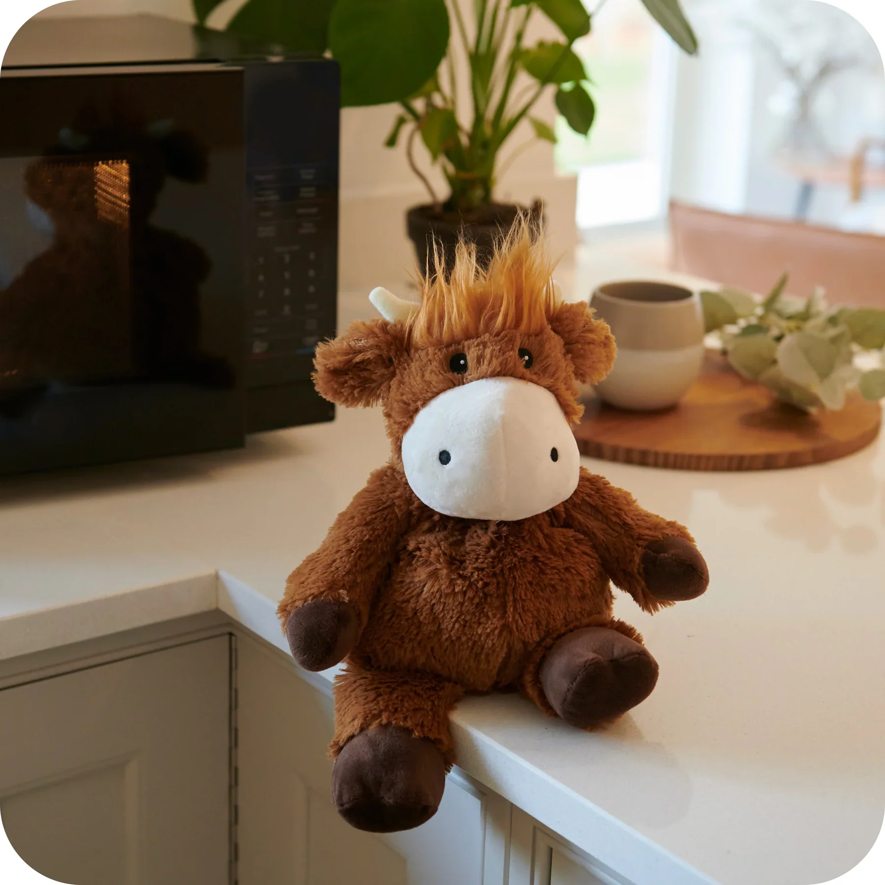 Warmies Highland Cow - Image 7